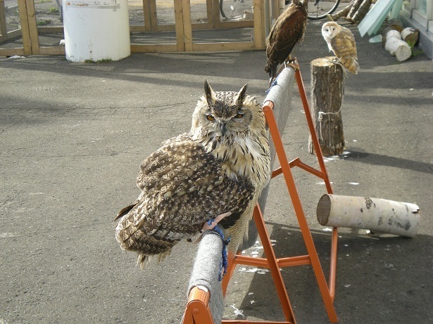 DSCN3634.JPG