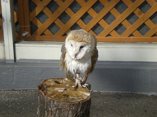 DSCN3635.JPG