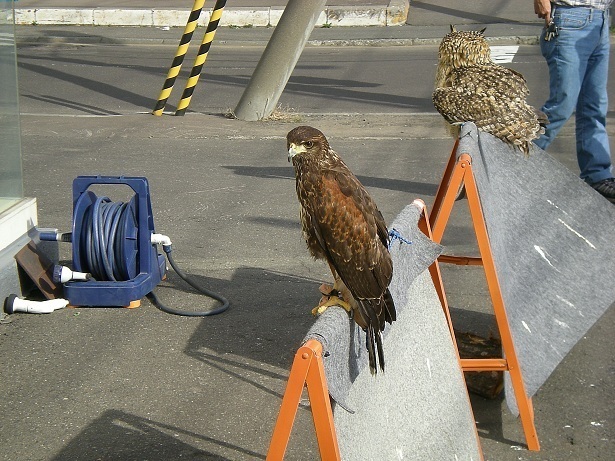 DSCN3636.JPG