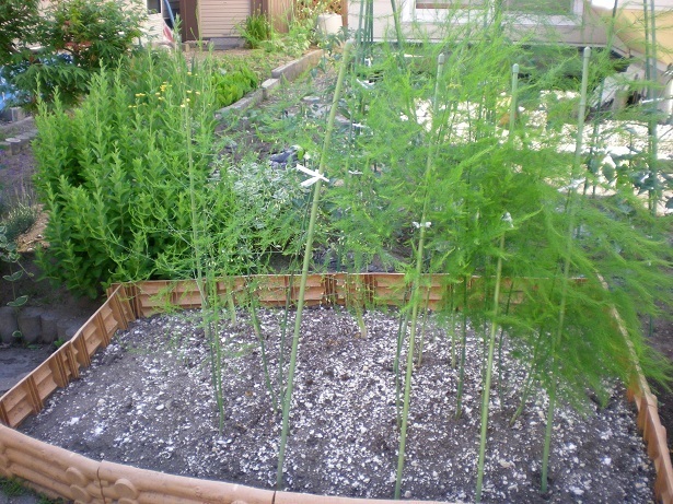 DSCN4964.JPG