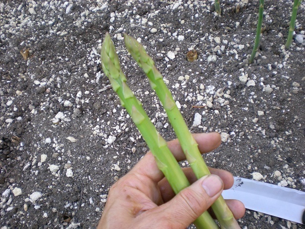 DSCN4965.JPG