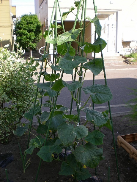 DSCN4966.JPG
