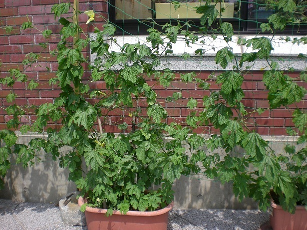DSCN5086.JPG