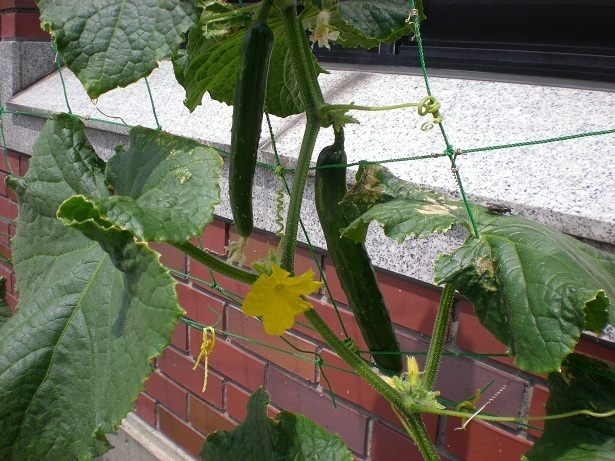 DSCN5087.JPG