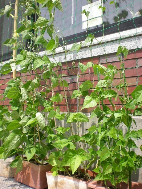 DSCN5088.JPG