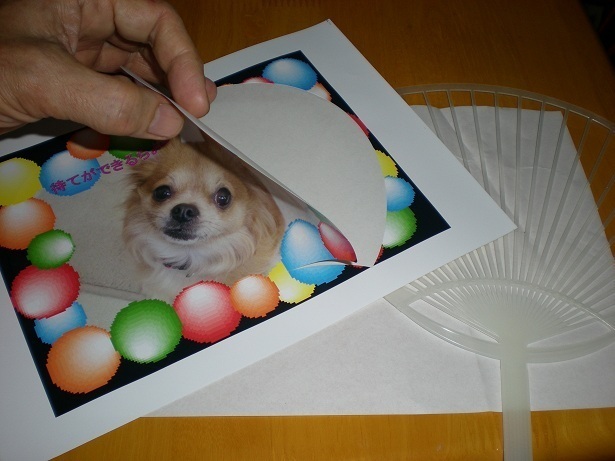 DSCN5270.JPG