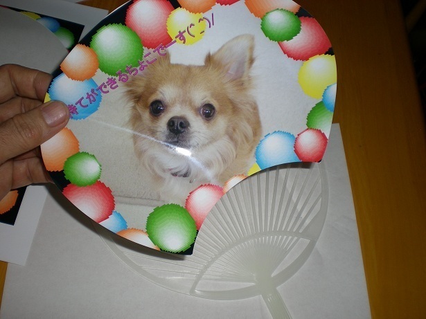 DSCN5271.JPG