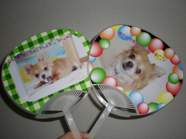 DSCN5272.JPG