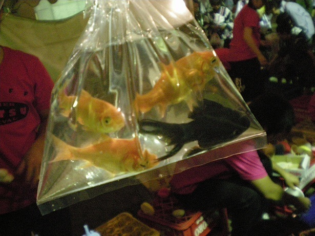 DSCN5280.JPG