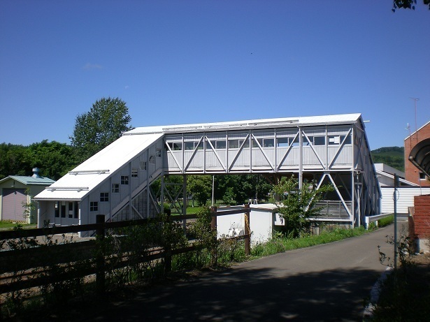 DSCN5313.JPG