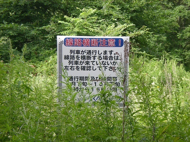DSCN5350-1.JPG