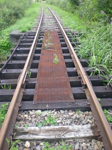 DSCN5362.JPG