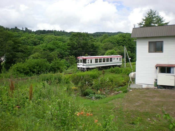 DSCN5365-1.JPG