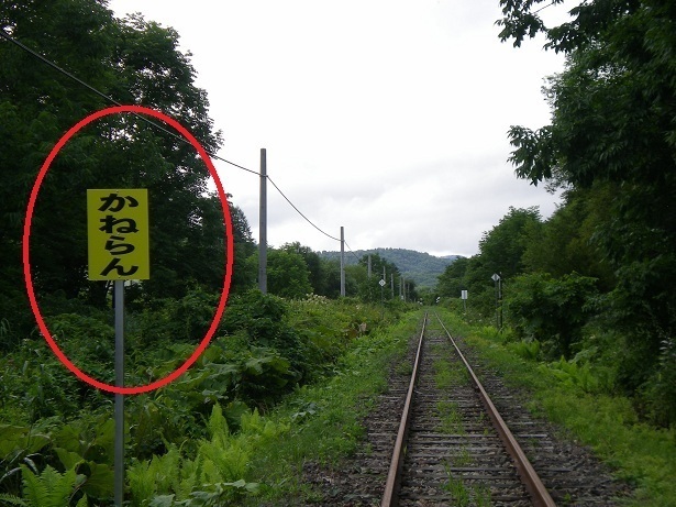 DSCN5367.JPG
