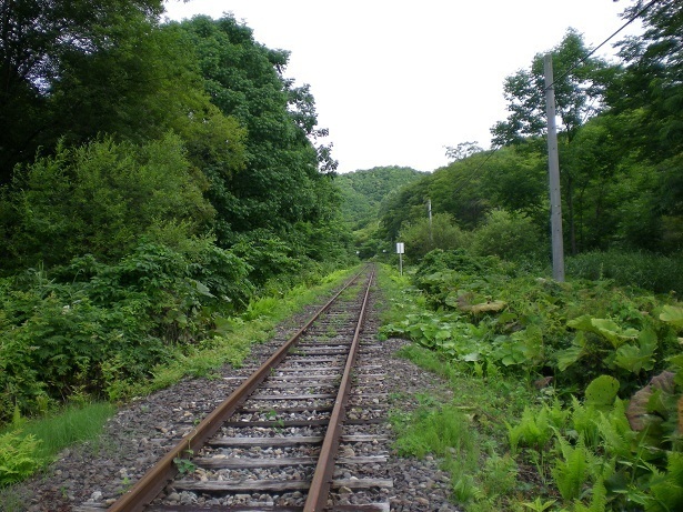 DSCN5369.JPG