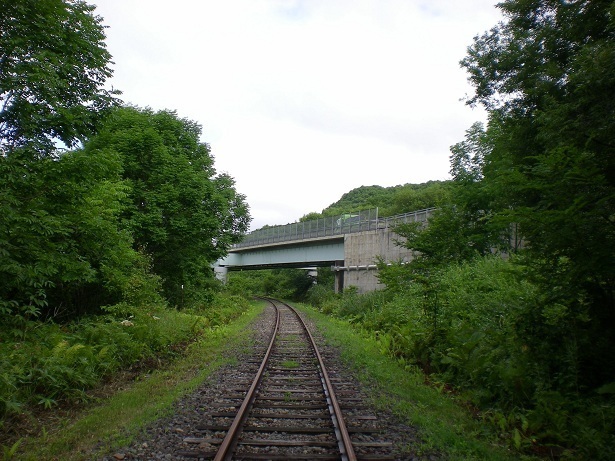 DSCN5370.JPG