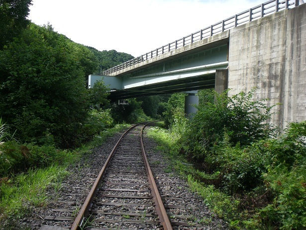 DSCN5375.JPG