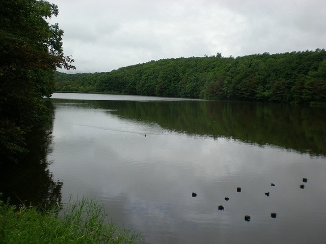 DSCN5445.JPG