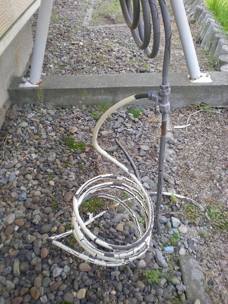 DSCN5964.JPG