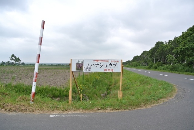 DSC_0820.JPG