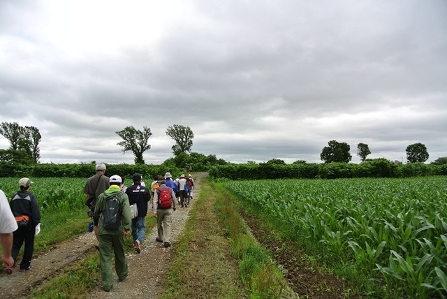 DSC_1161.JPG