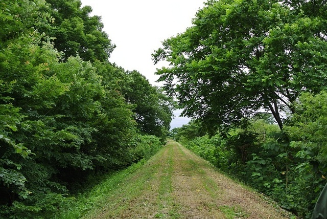 DSC_1175.JPG