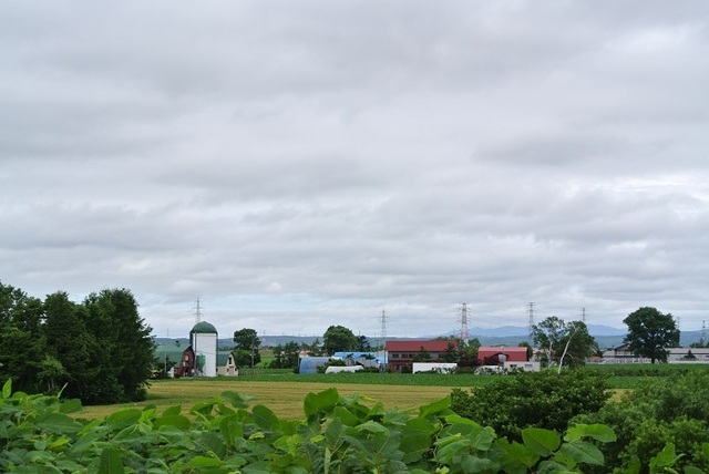 DSC_1181.JPG