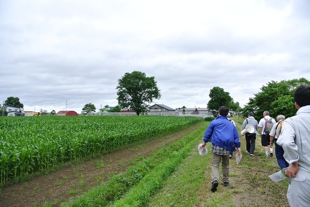 DSC_1190.JPG