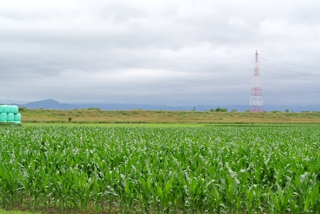 DSC_1202.JPG