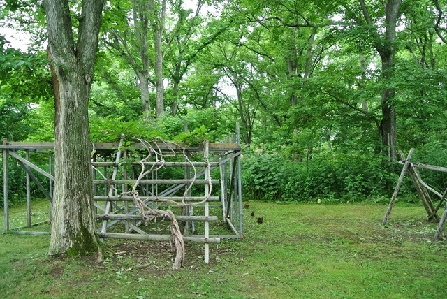 DSC_1209.JPG
