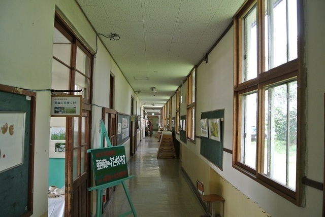 DSC_1260.JPG
