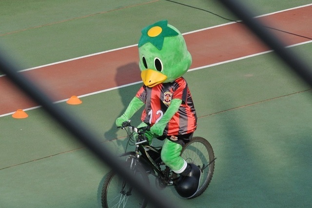 DSC_1523.JPG