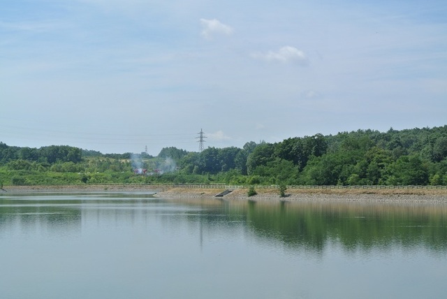 DSC_1619.JPG