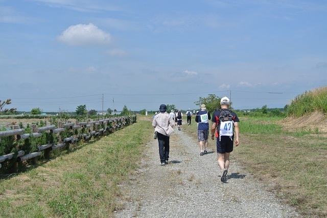 DSC_1622.JPG