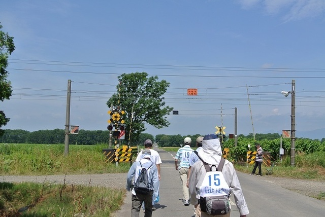 DSC_1631.JPG