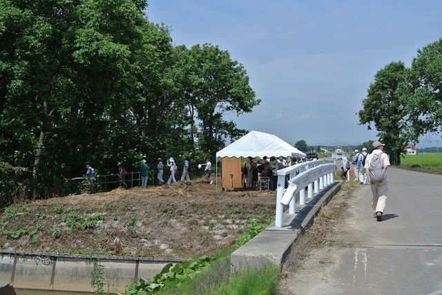 DSC_1640.JPG