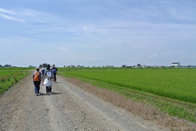 DSC_1653.JPG