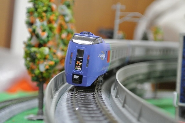DSC_1779.JPG