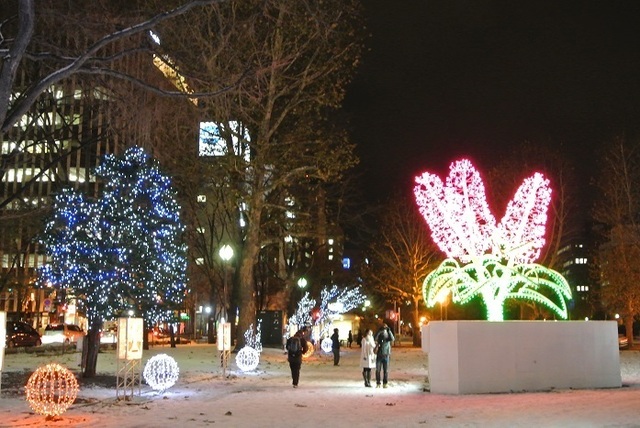 DSC_6217.JPG