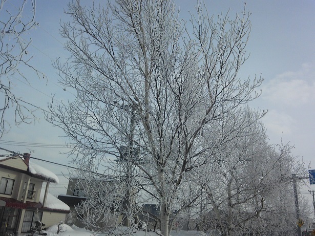 130124_100517.jpg