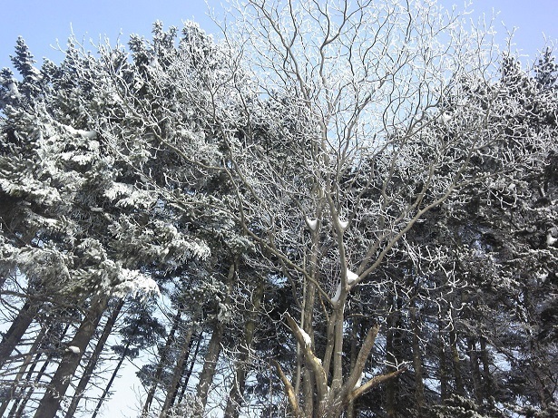 130124_100750.jpg