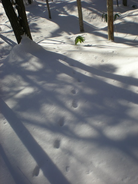 DSCN5960.JPG