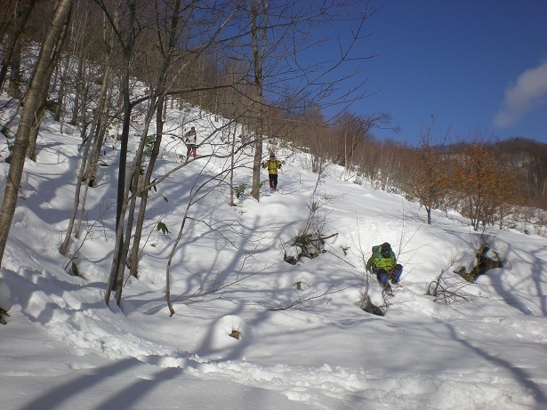 DSCN5989.JPG