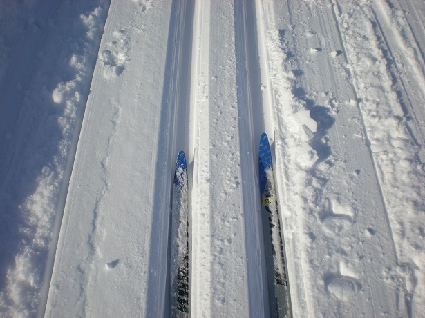 DSCN6022.JPG