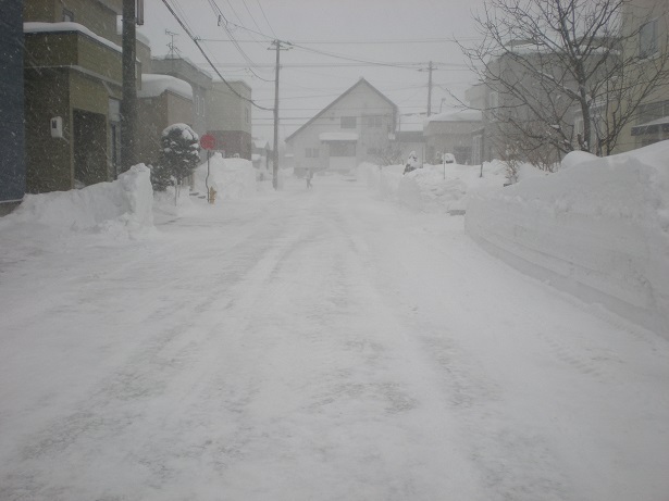 DSCN6217-1.JPG