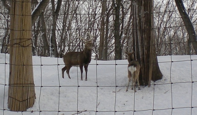 DSCN6238.JPG