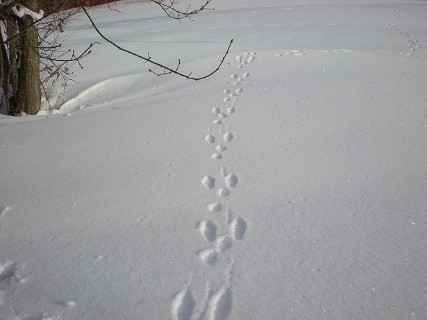 DSCN6242.JPG