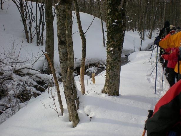 DSCN6243.JPG