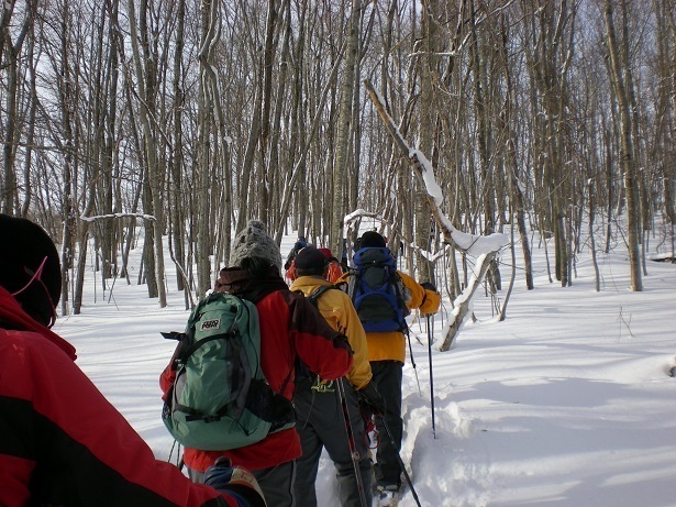 DSCN6248.JPG