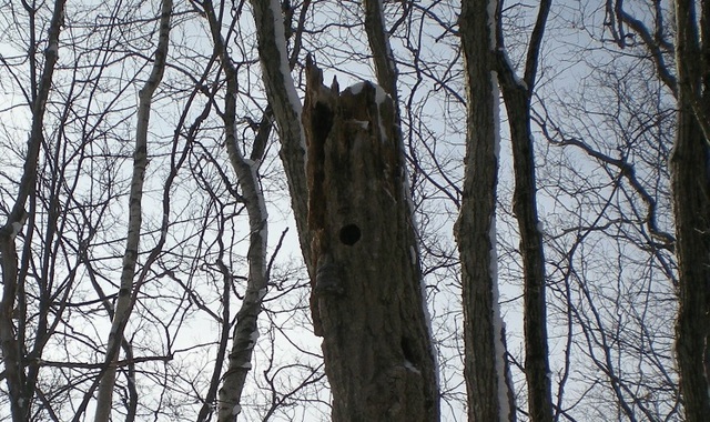 DSCN6251.JPG
